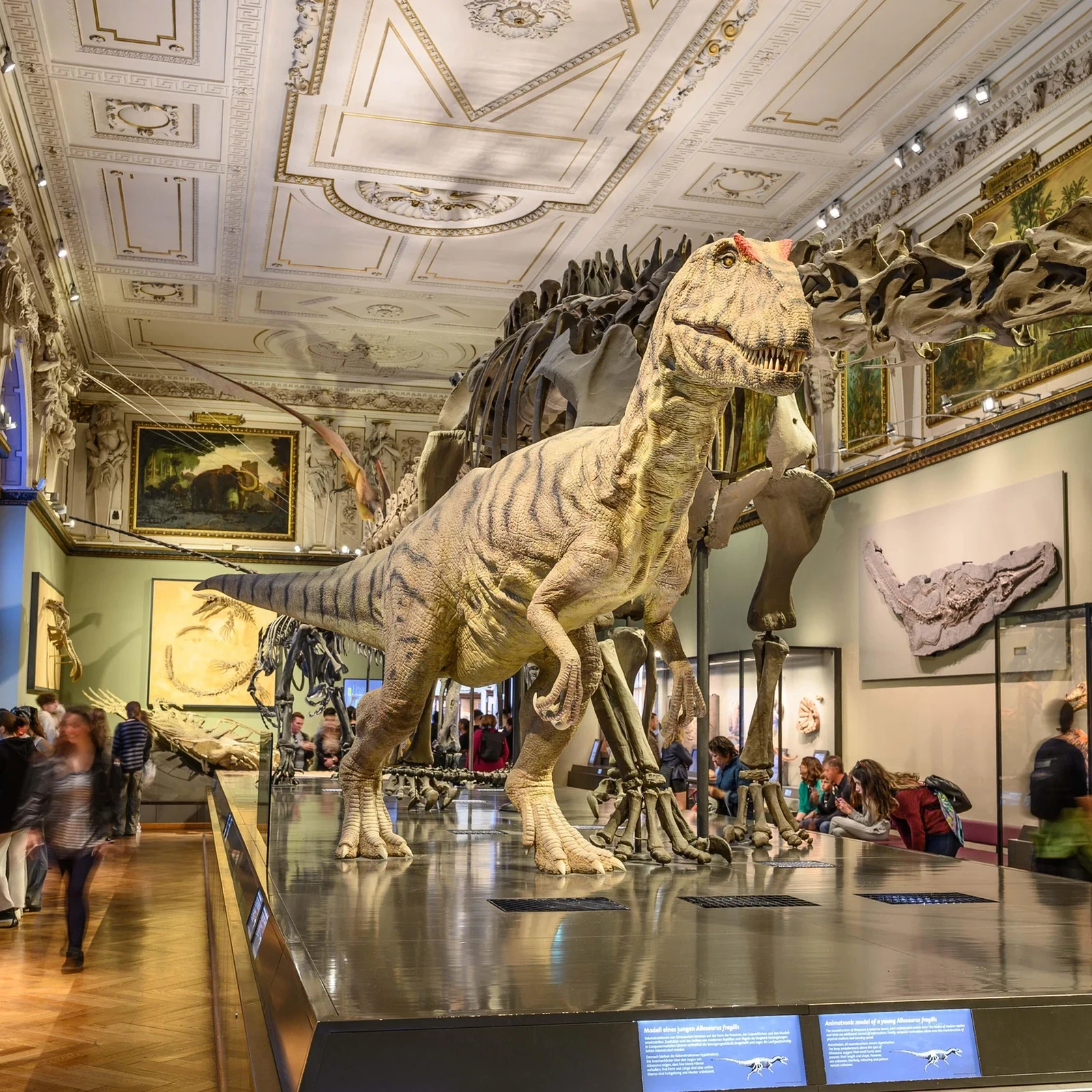 Erkunde das Naturhistorische Museum Wien in deinem Tempo