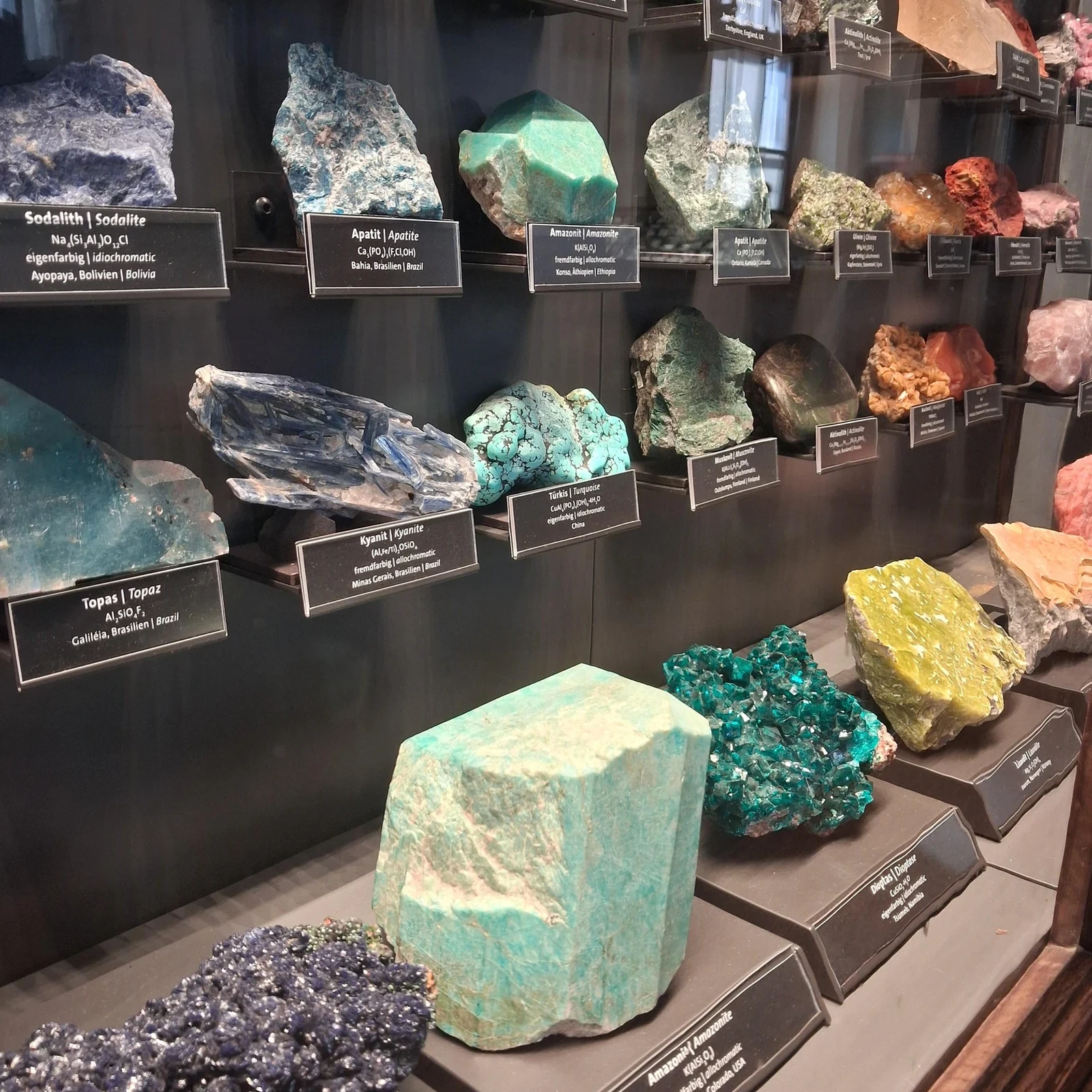 Erkunde das Naturhistorische Museum Wien in deinem Tempo
