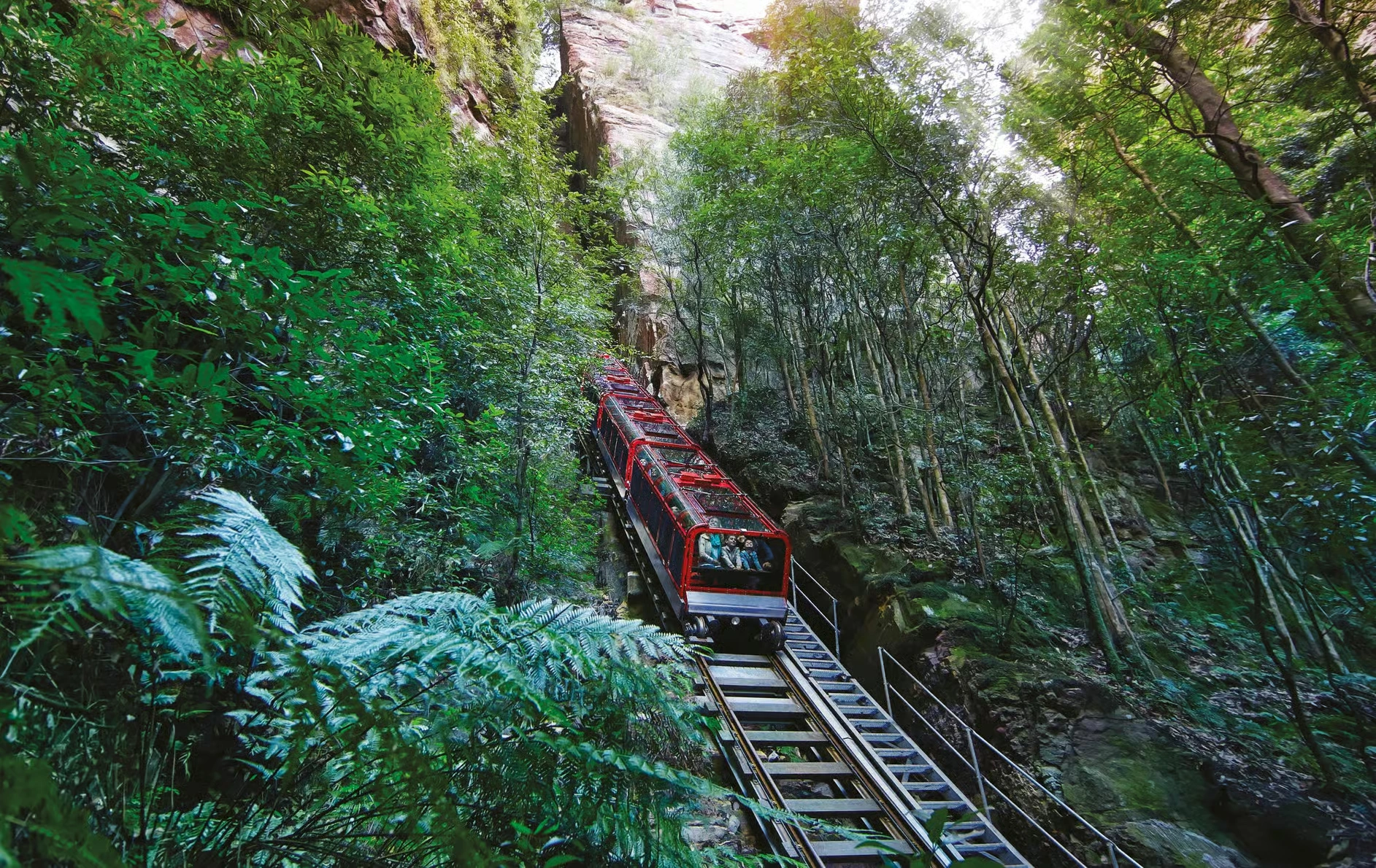 Excursión Montañas Azules y Scenic World desde Sídney con koalas