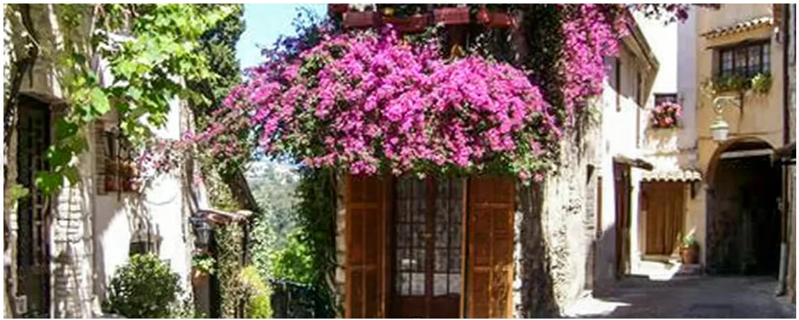 Excursion de Nice à Grasse et villages médiévaux de la Côte d’Azur