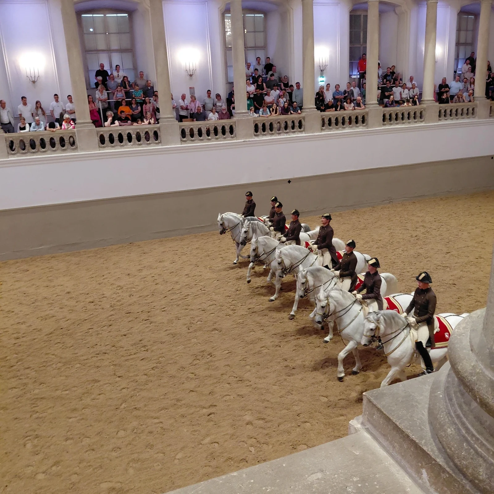 Lipizanos, Alta Escuela y música en la Hofburg
