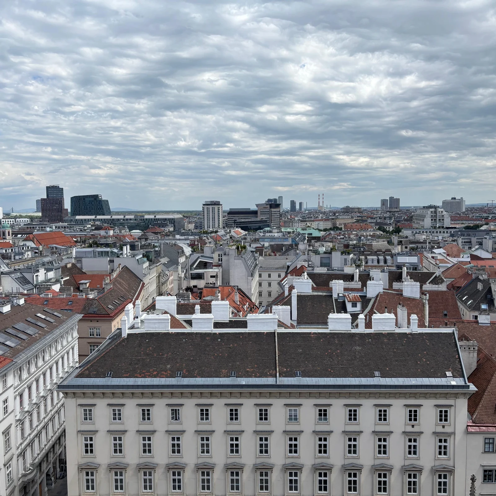 Museum, Dom, Türme und Katakomben mit einem Ticket