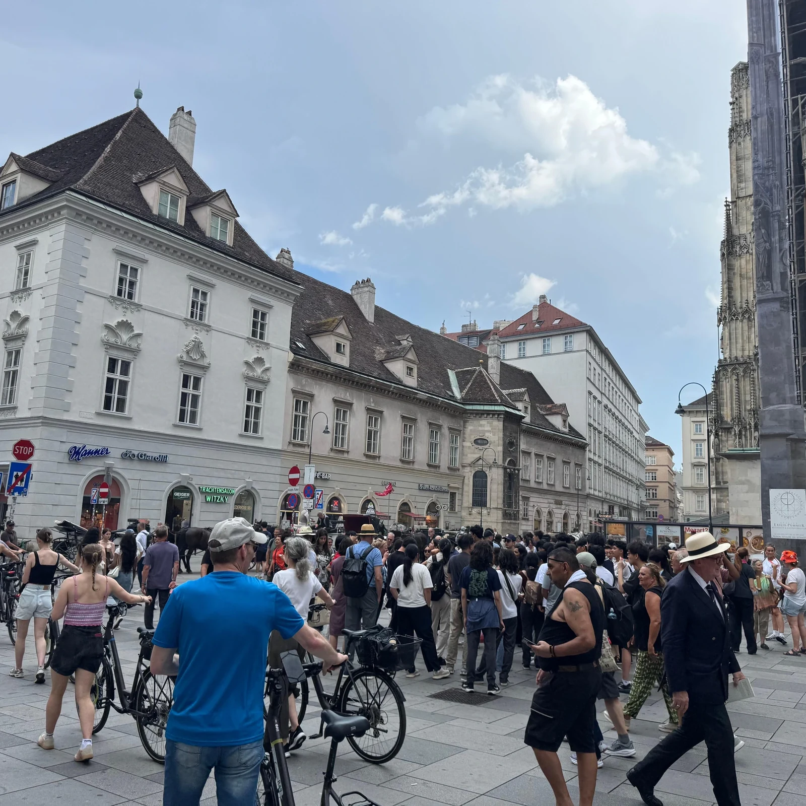 Descubre los grandes hitos de Viena sobre dos ruedas