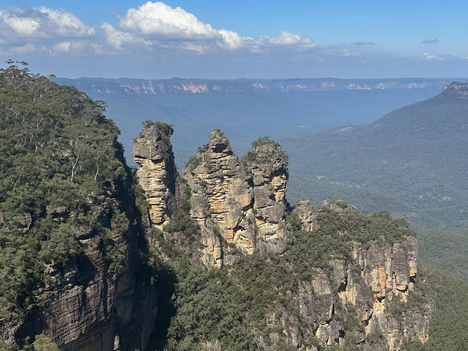 Blue Mountains Scenic World day trip from Sydney with zoo and koala photo
