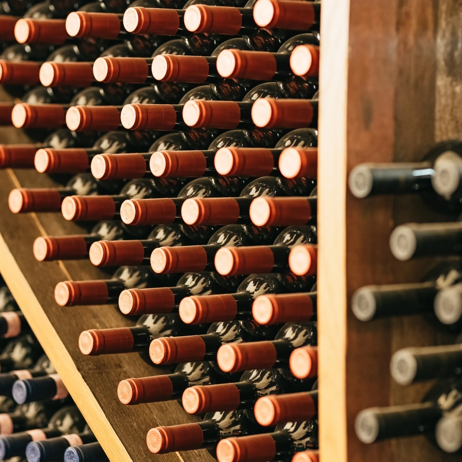 Visit two Chianti wineries from Florence
