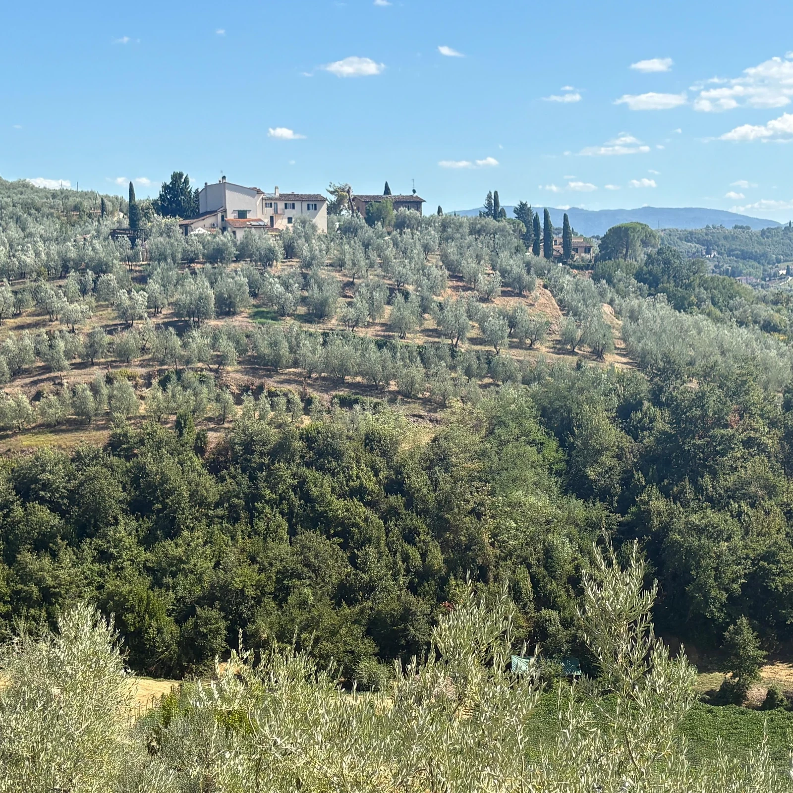 Florence et ses collines en voiturette de golf