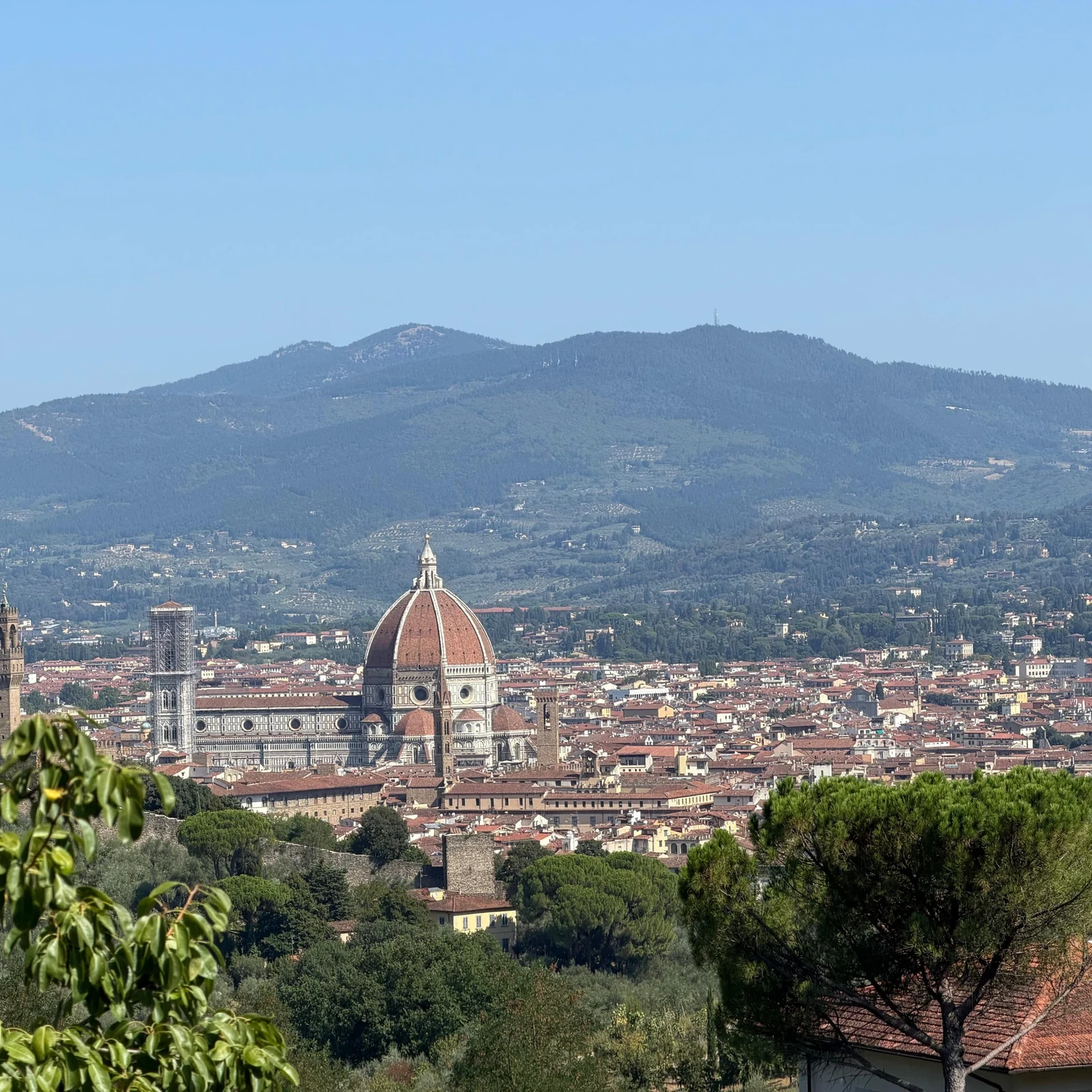 Florence et ses collines en voiturette de golf