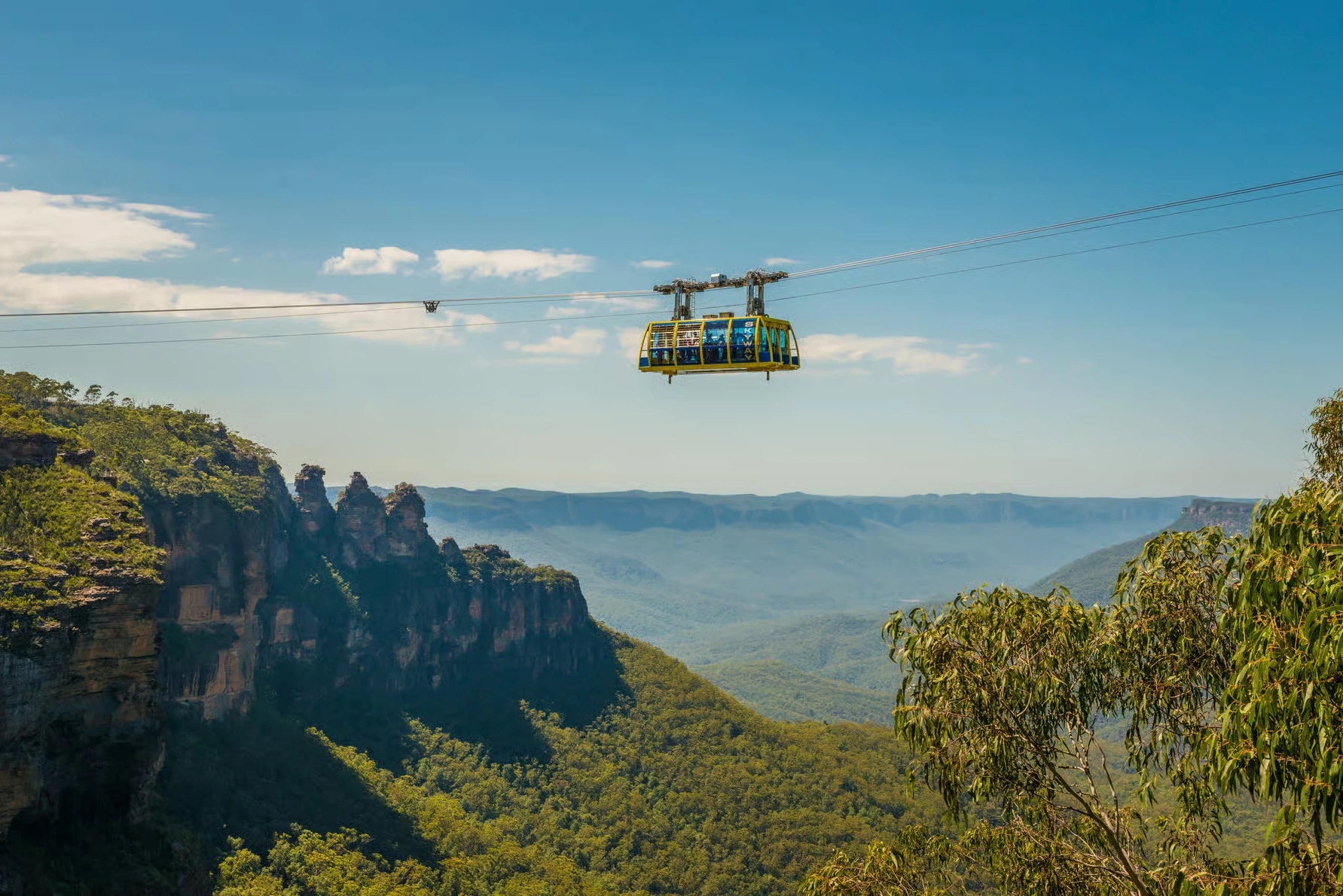 Blue Mountains Scenic World day trip from Sydney with zoo and koala photo