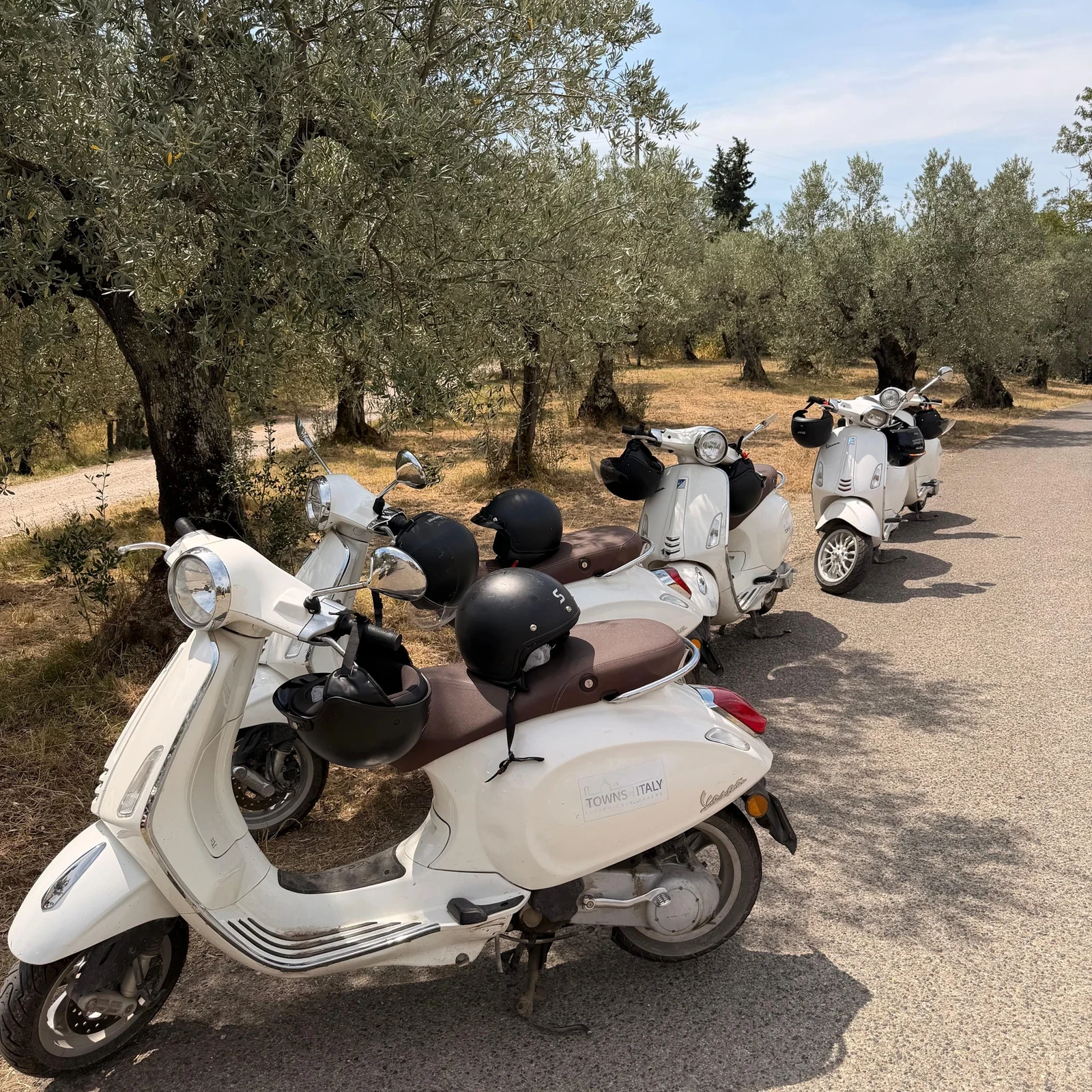Explore Chianti from Florence and visit a winery