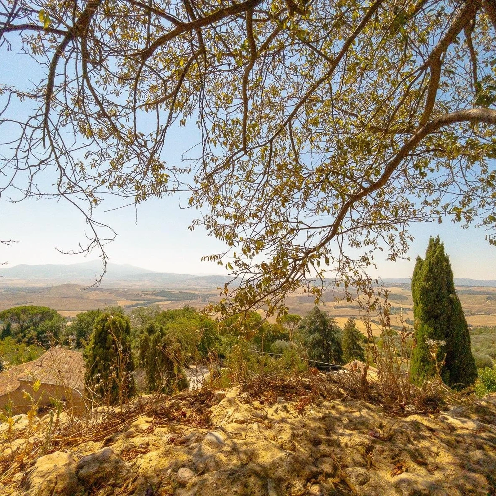 Val d'Orcia desde Florencia: tres localidades y sabores de la Toscana