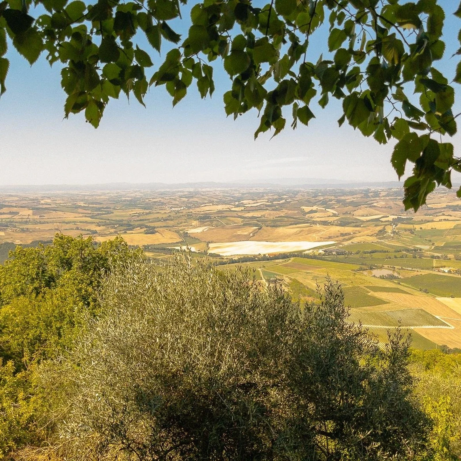 Val d'Orcia desde Florencia: tres localidades y sabores de la Toscana