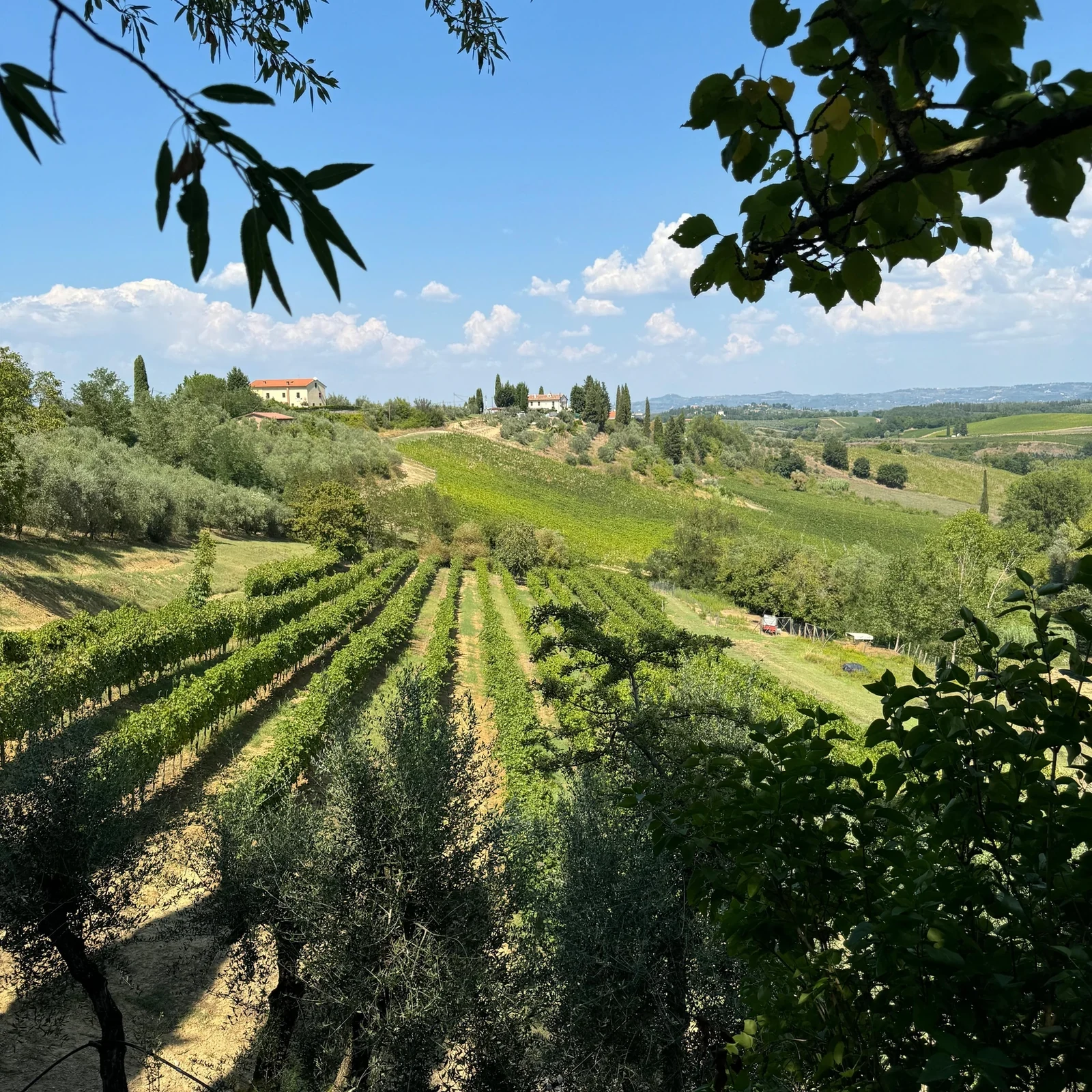 Deux domaines de Toscane et du temps libre à San Gimignano