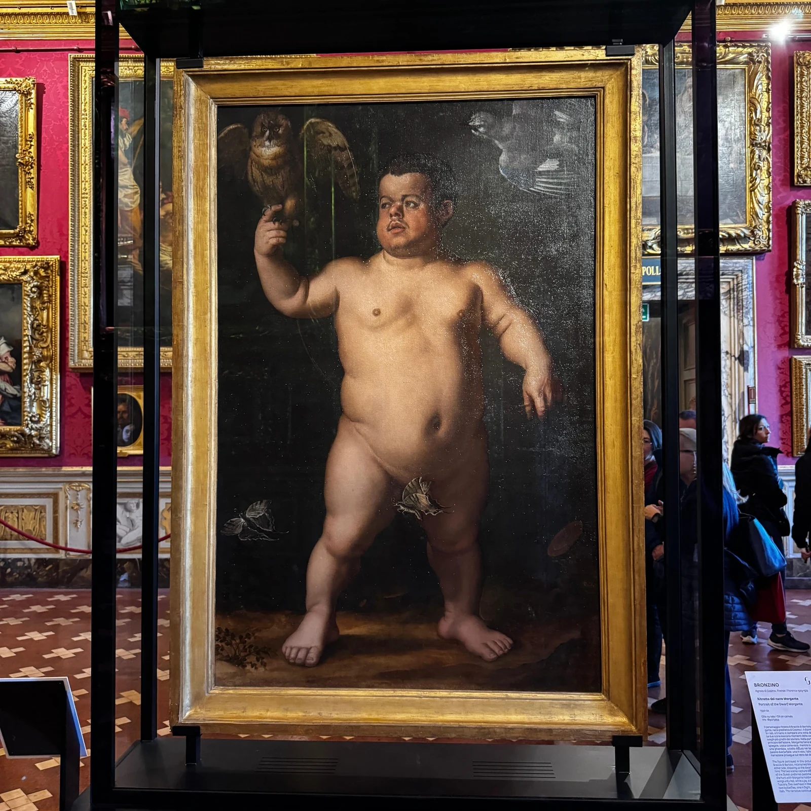L'art du palais Pitti et ses jardins, avec des explications