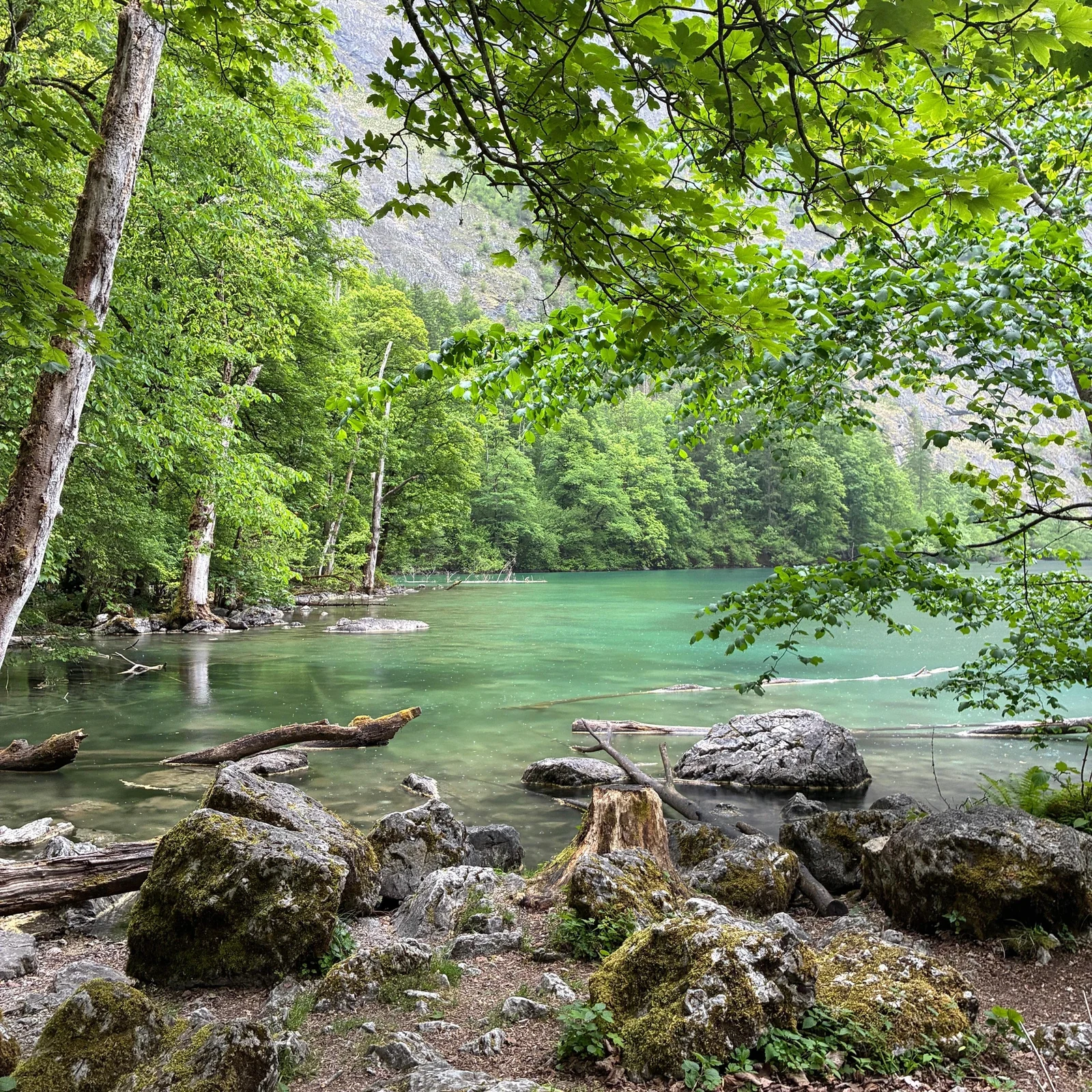 Une journée au Königssee depuis Munich