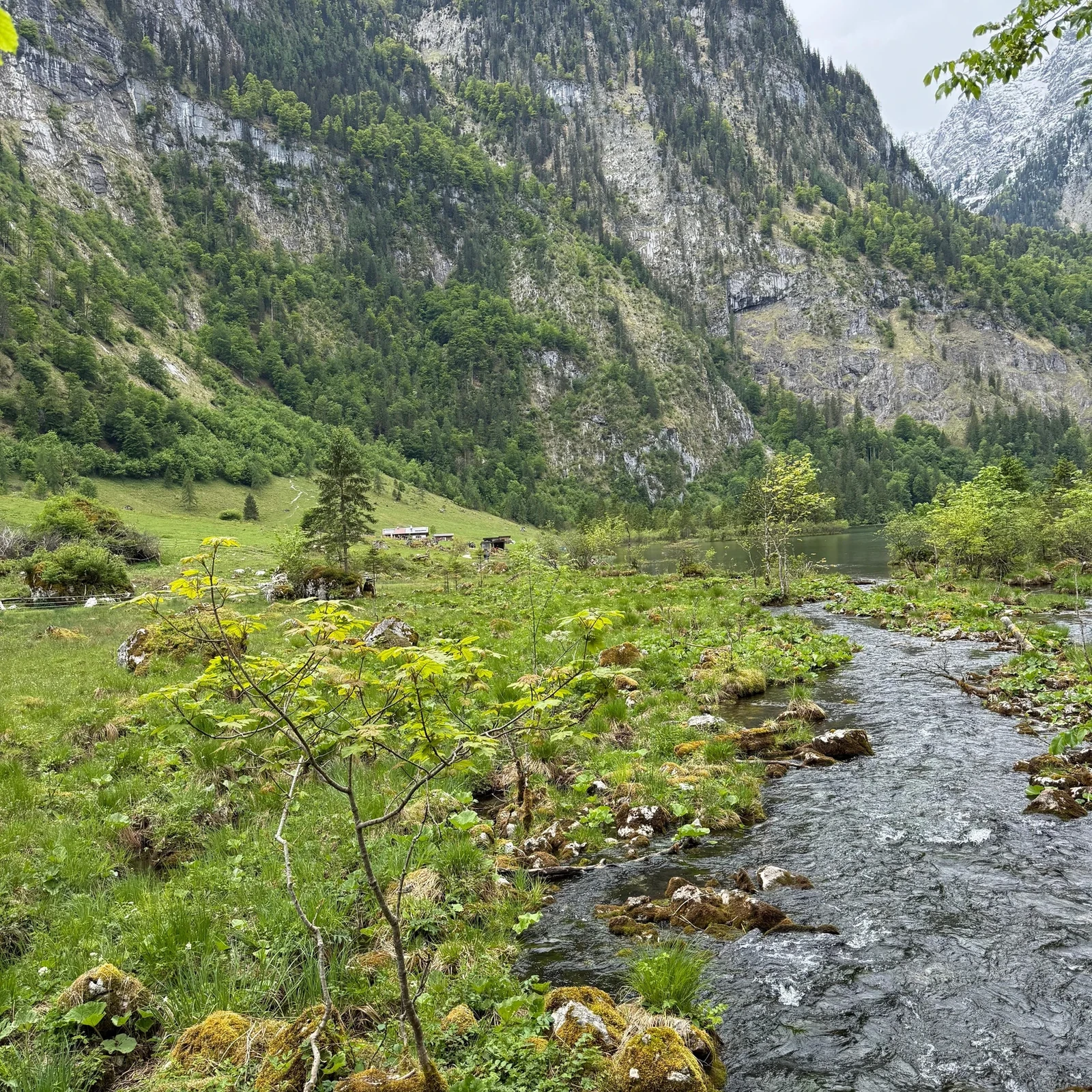 Une journée au Königssee depuis Munich