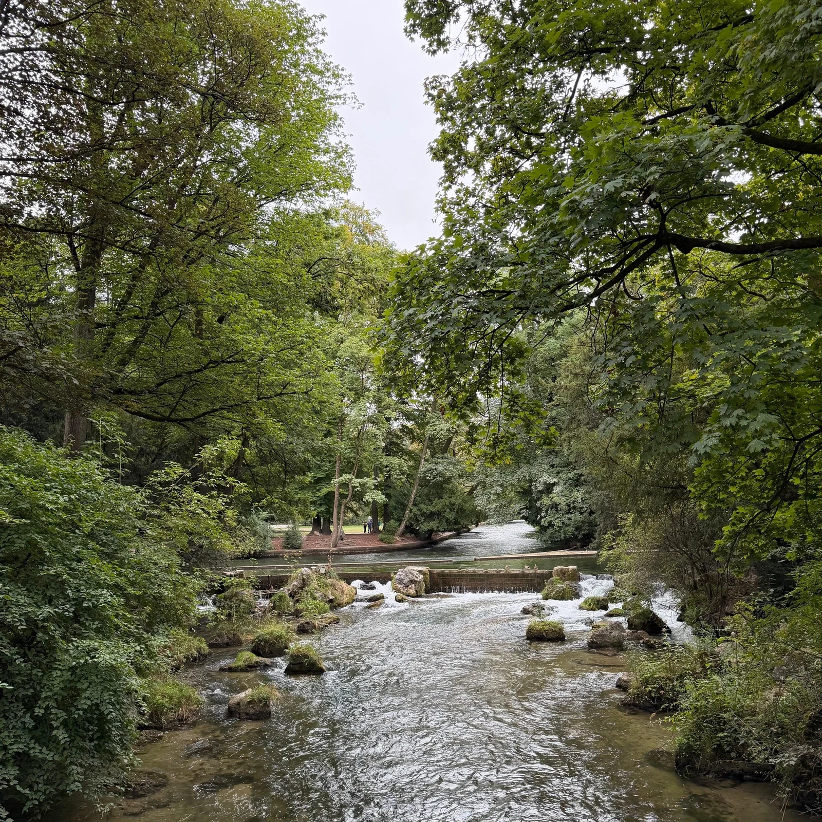 Parcourir Munich à vélo, puis faire une pause au Jardin anglais