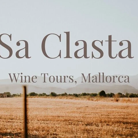Dos bodegas de Mallorca, sin organizar los traslados