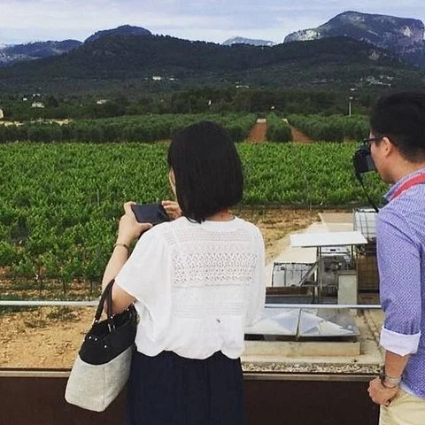 Dos bodegas de Mallorca, sin organizar los traslados