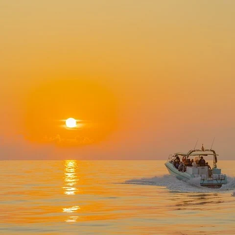 Suche im Morgengrauen vom Boot aus nach Delfinen auf Mallorca