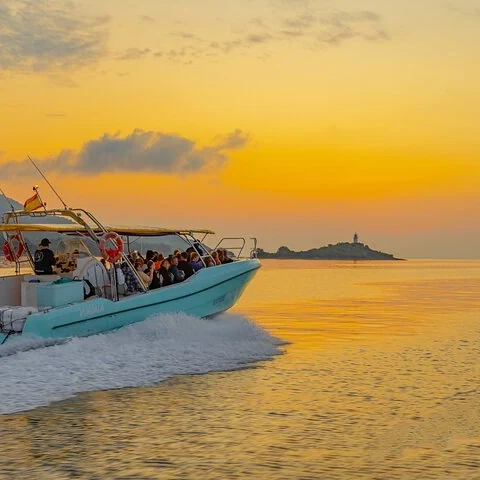 Suche im Morgengrauen vom Boot aus nach Delfinen auf Mallorca
