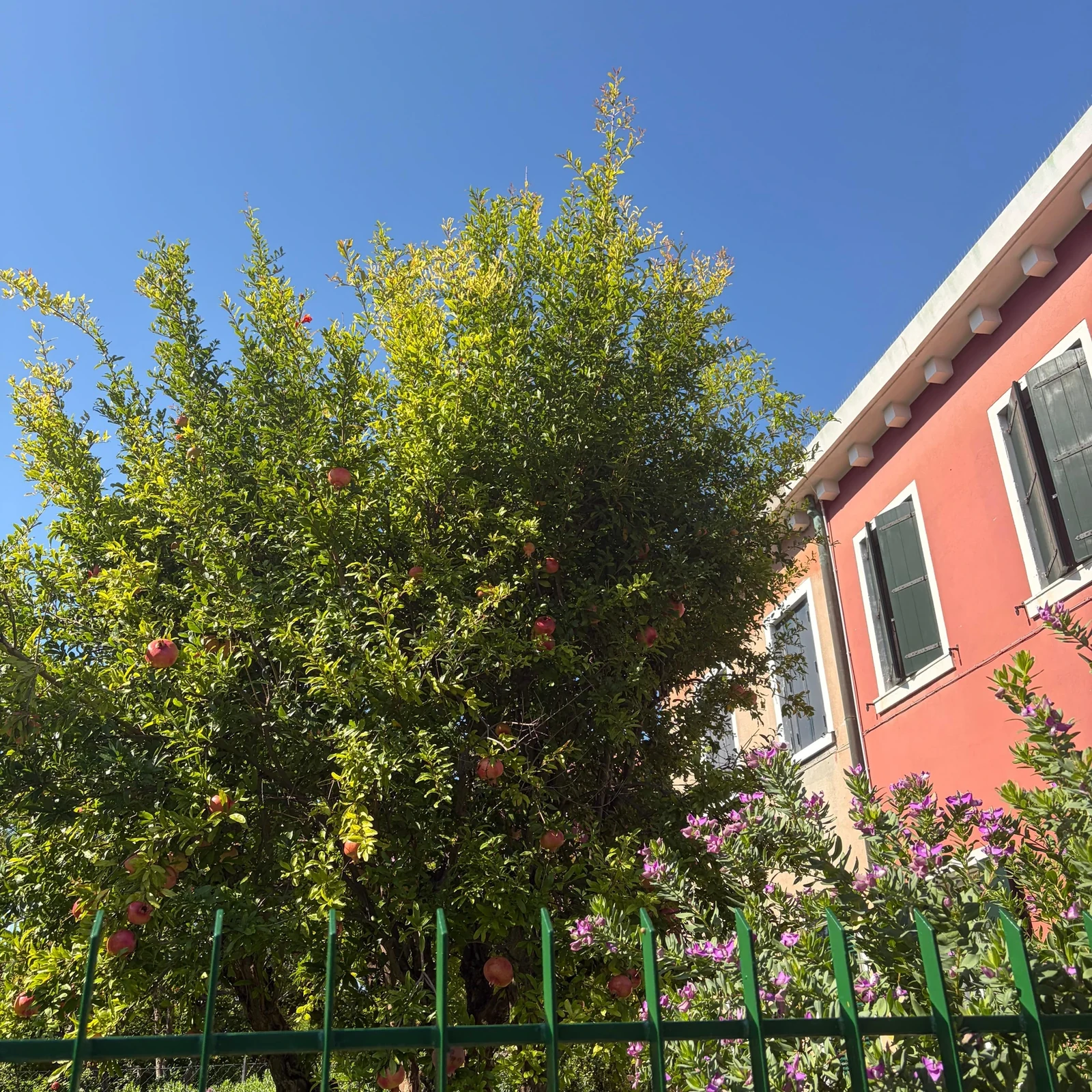 Geführter Ausflug nach Murano und Burano ab Venedig