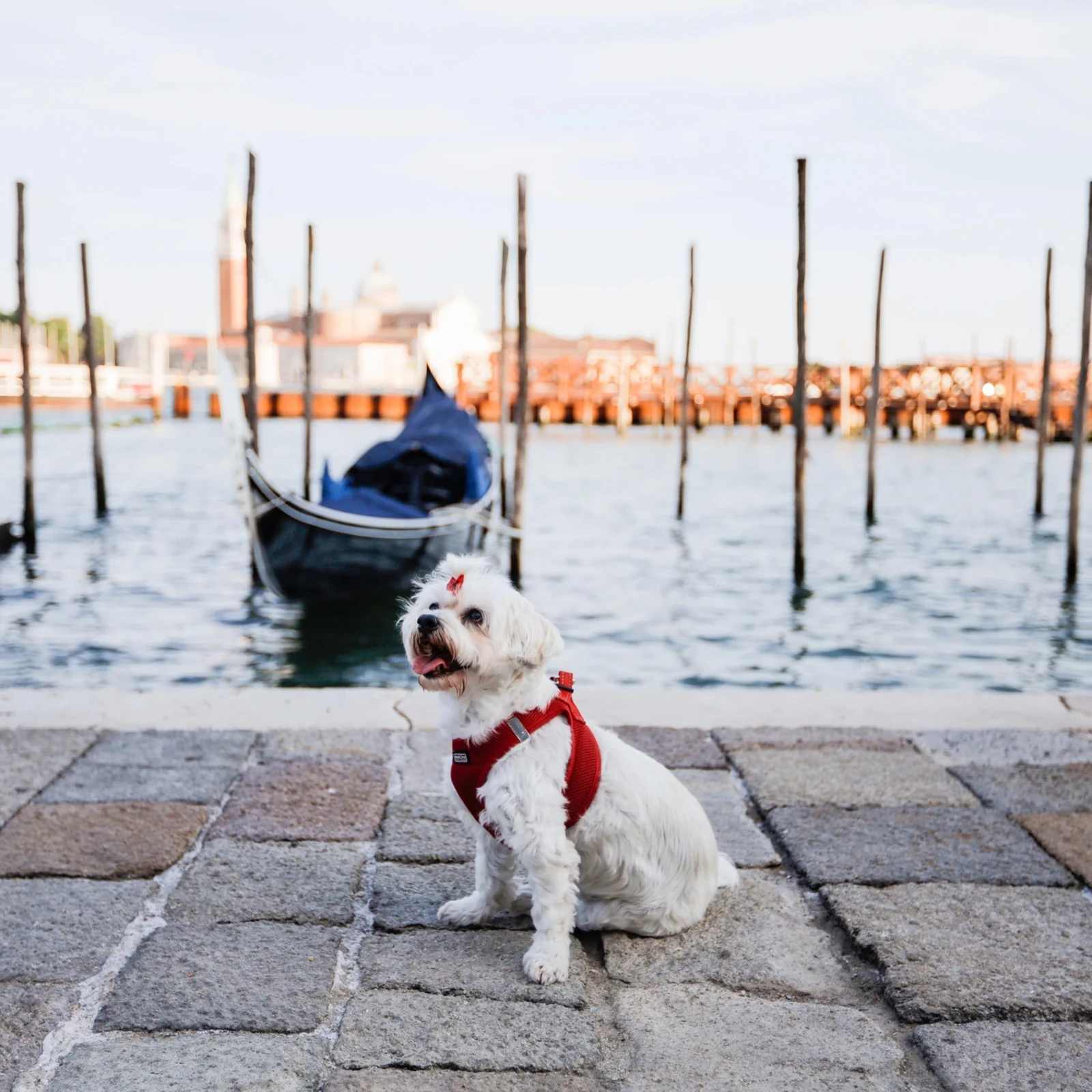 Sei selbst auf deinen Venedigfotos – mit Tipps zum Posieren