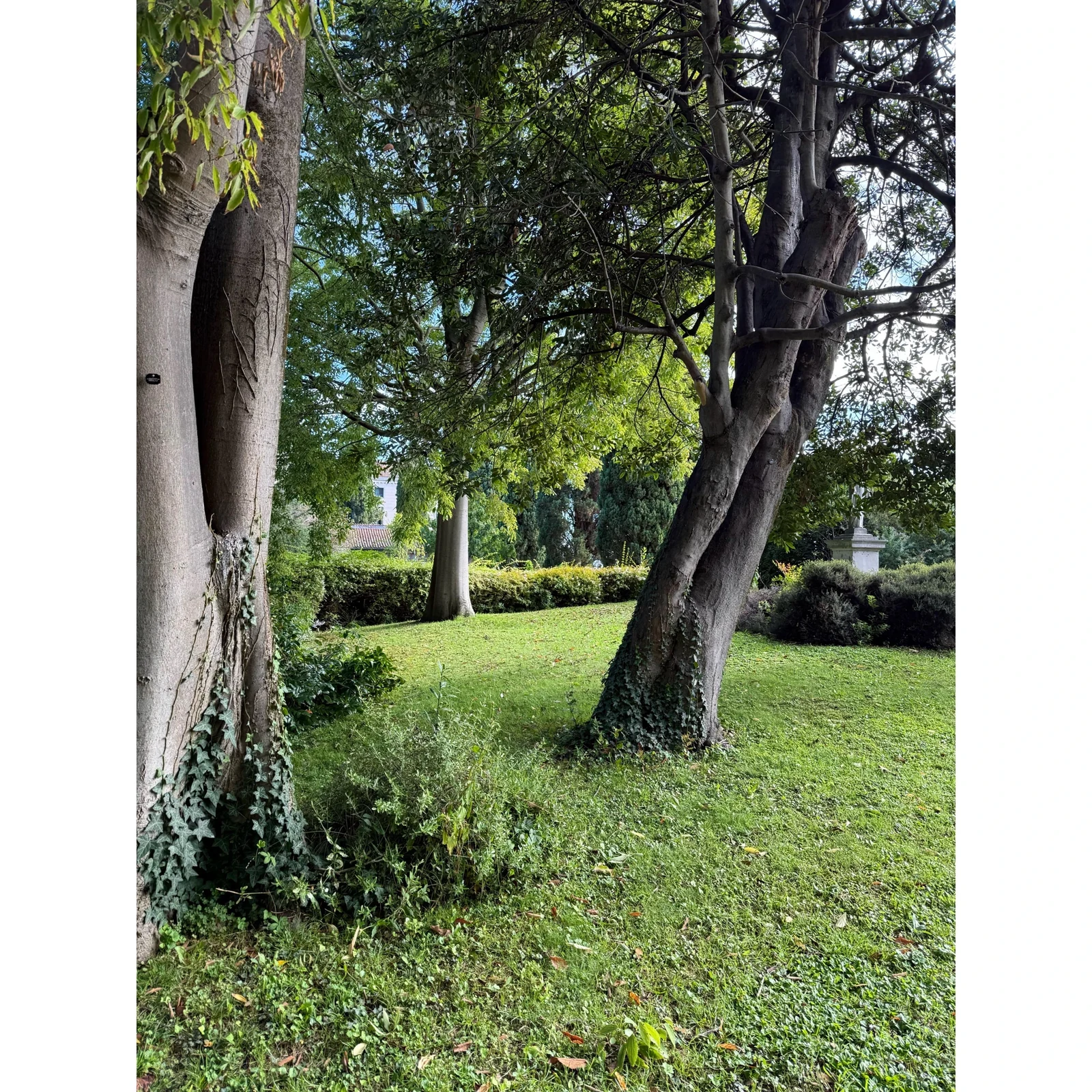 Découvrez les jardins cachés de Venise