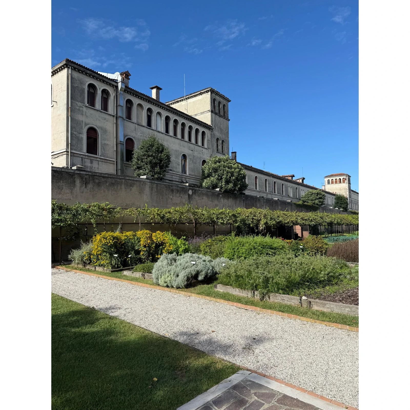 Découvrez les jardins cachés de Venise