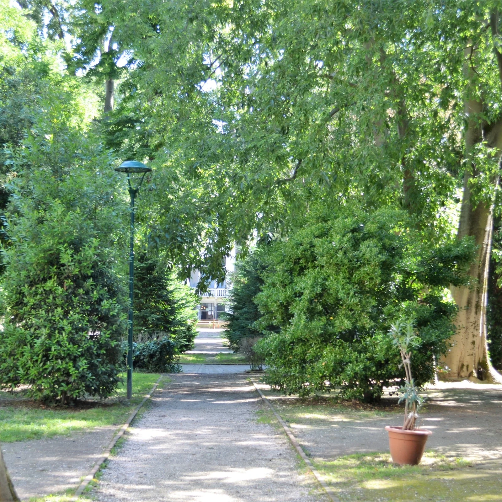 Découvrez les jardins cachés de Venise