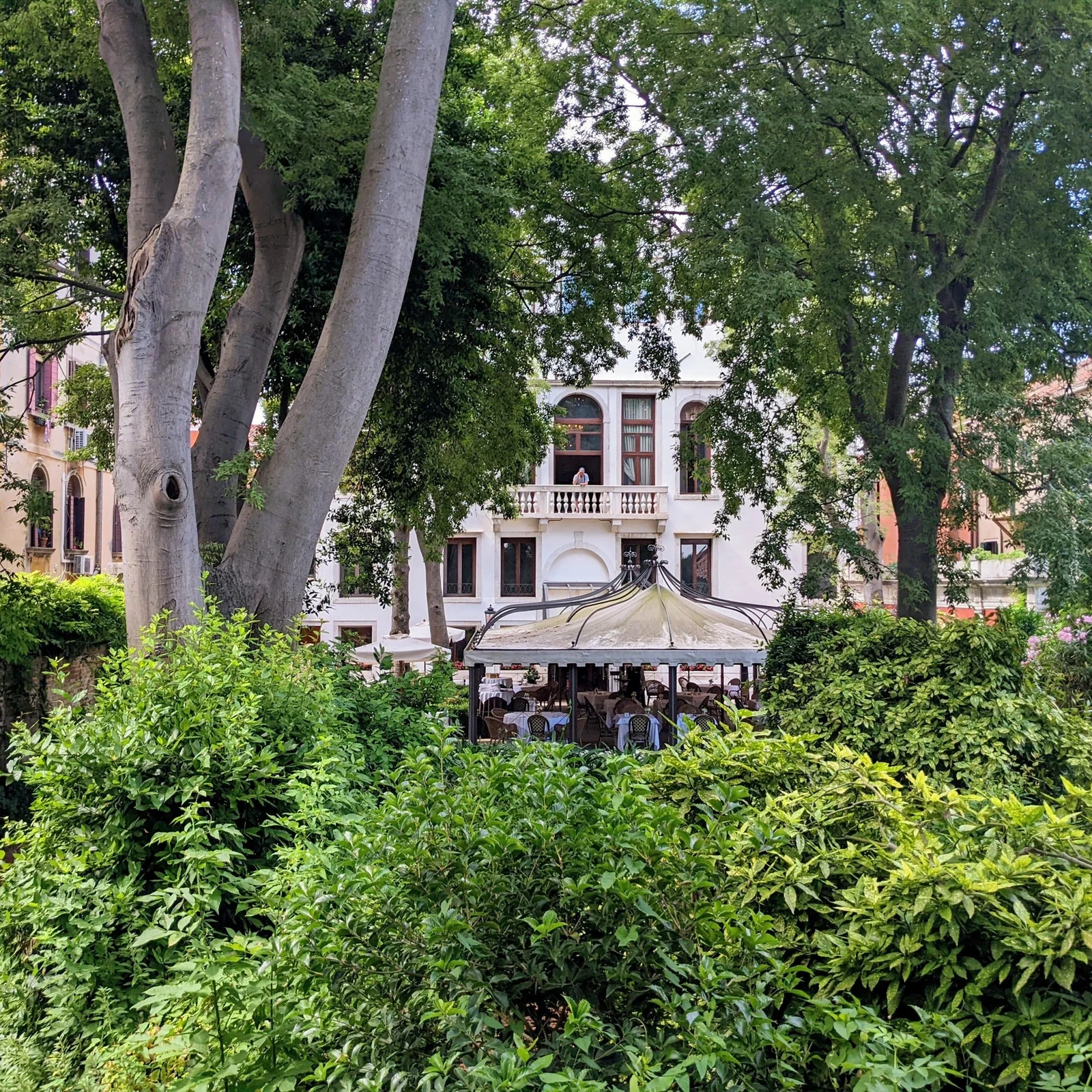 Découvrez les jardins cachés de Venise