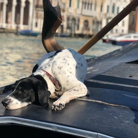 Découvrir Venise à pied, à travers son histoire