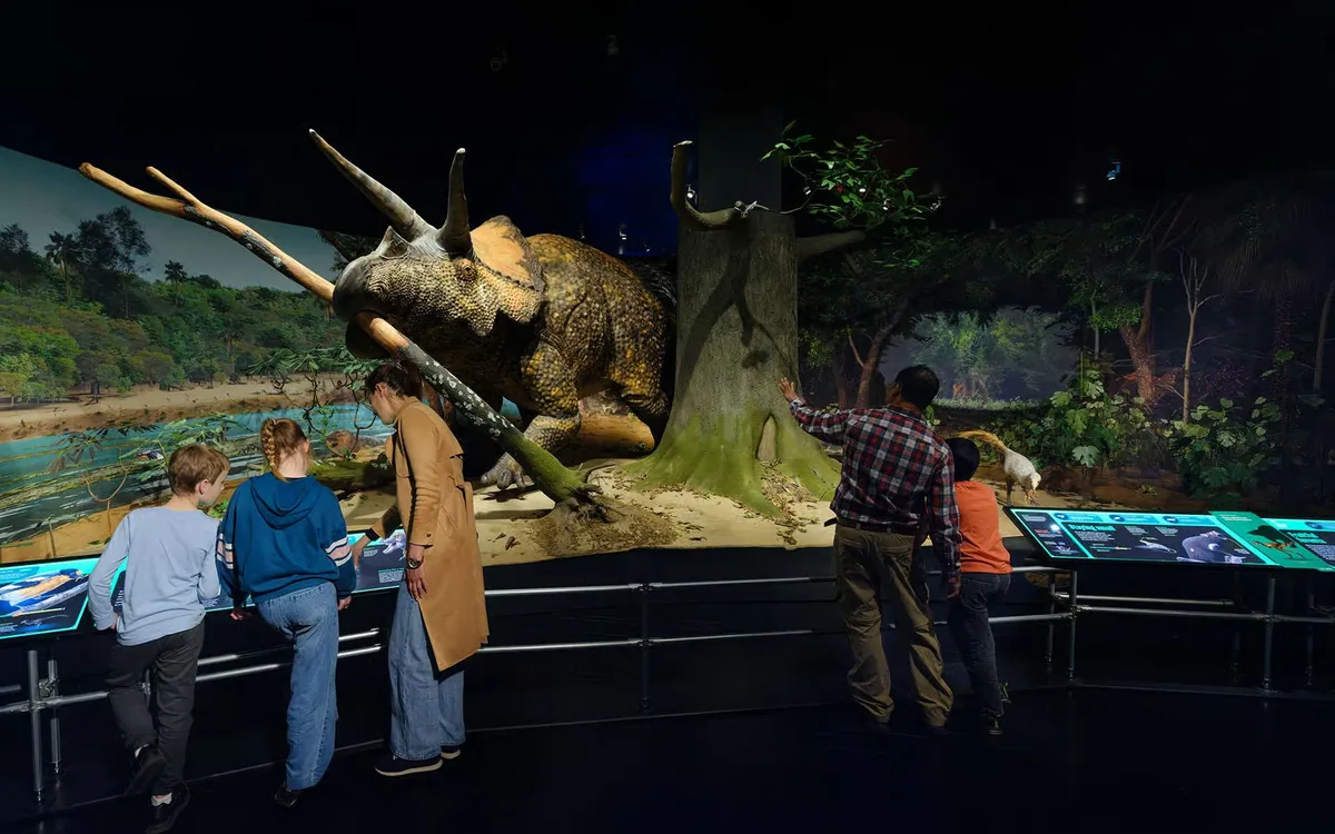Entrada al Museo Americano de Historia Natural: dinosaurios, ciencia y más de 40 salas