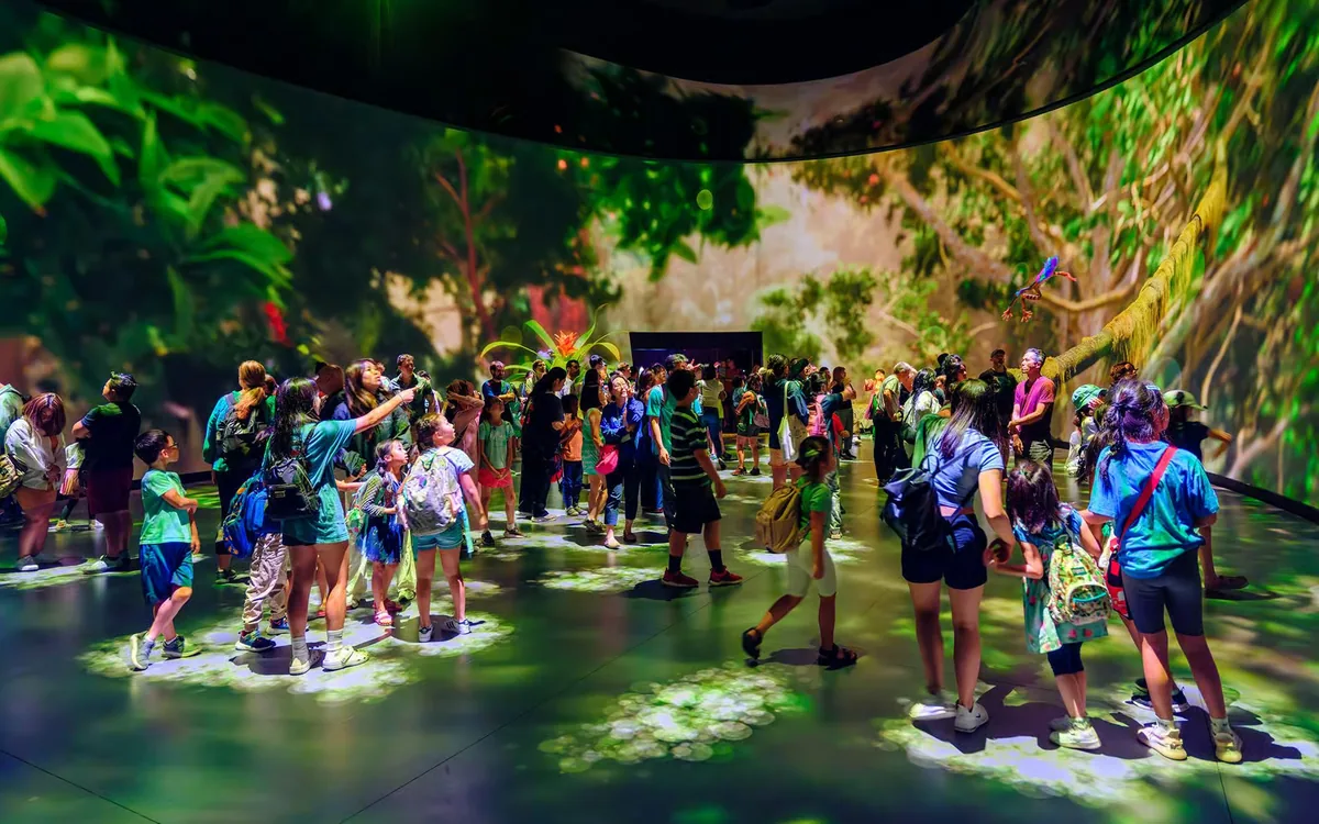 Entrada al Museo Americano de Historia Natural: dinosaurios, ciencia y más de 40 salas