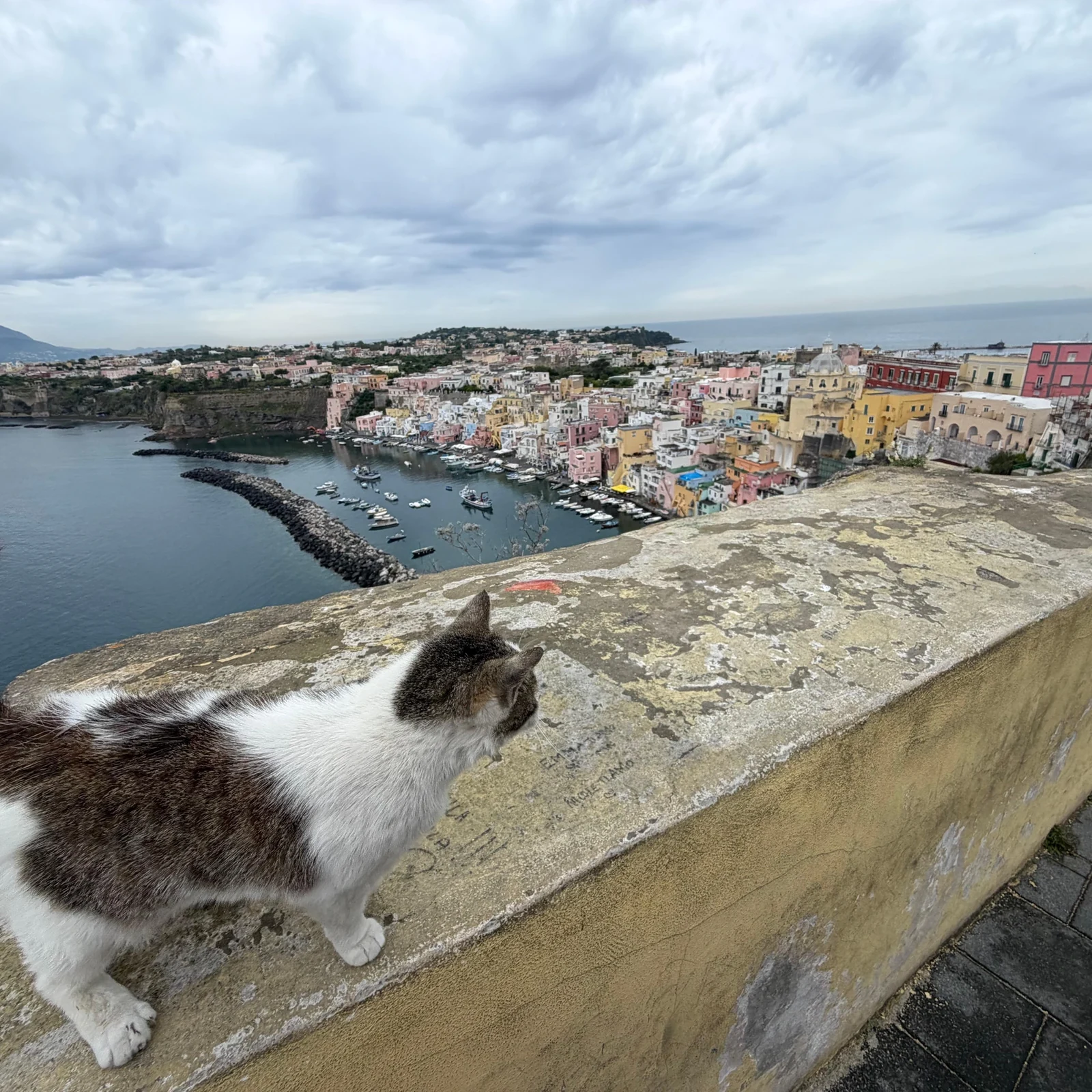 Dos islas desde Nápoles, con las visitas a tu ritmo
