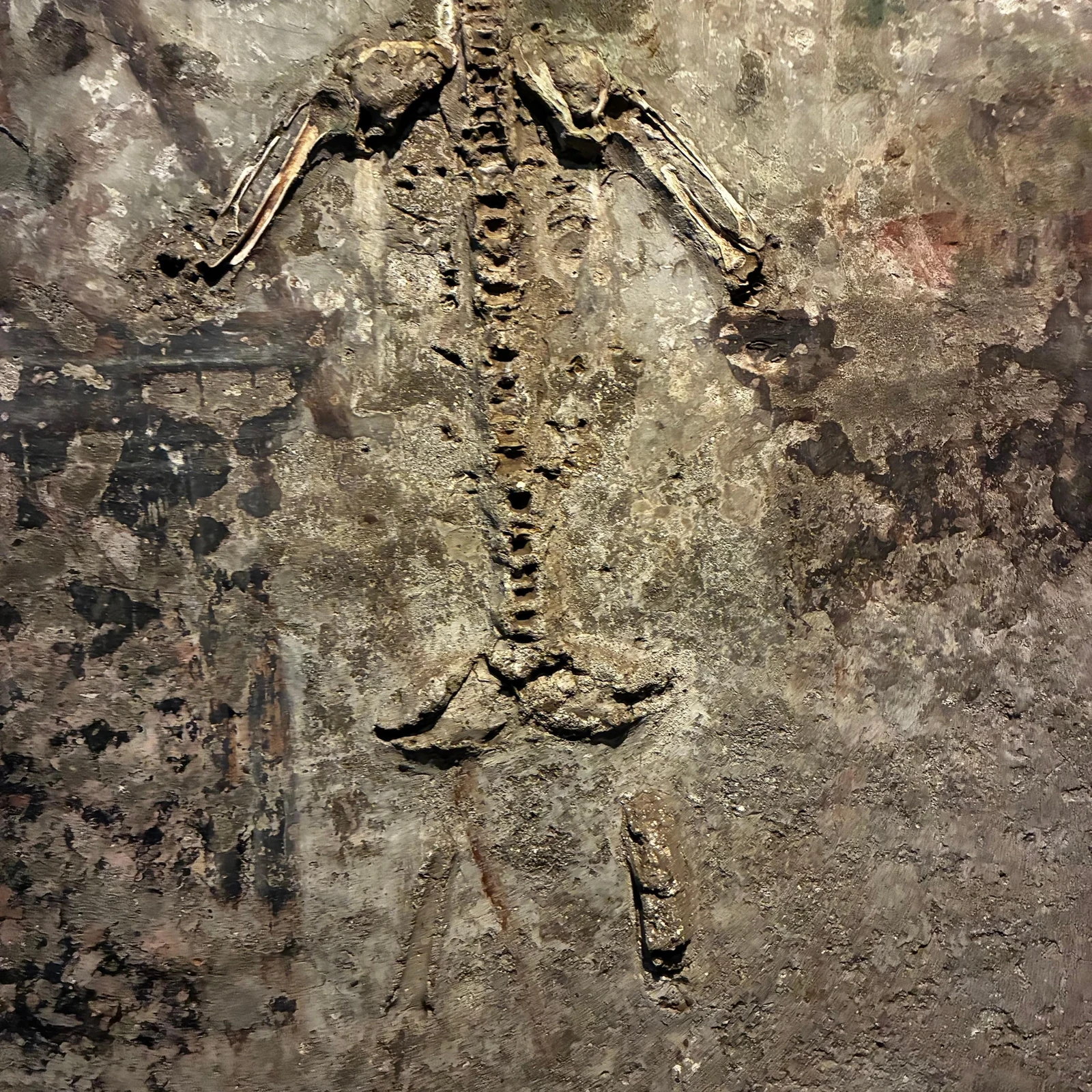 Comprenez l'histoire conservée dans les catacombes de San Gaudioso