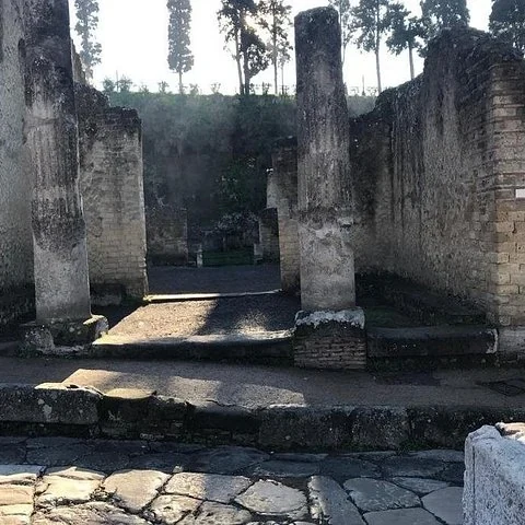 Explore Roman life in Herculaneum with a guide