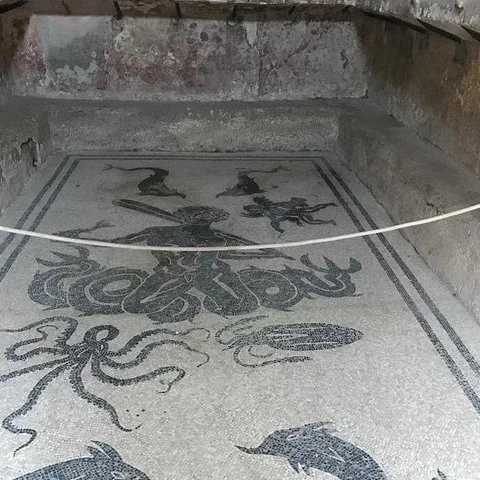 Explore Roman life in Herculaneum with a guide