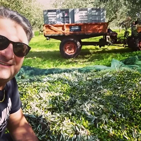 De l’oliveraie à la dégustation, avec un déjeuner sicilien