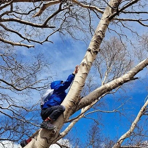 Découvrez l’Etna en famille, des cratères à la lave