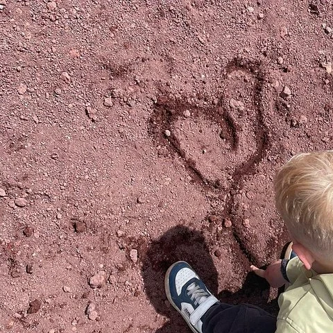 Découvrez l’Etna en famille, des cratères à la lave
