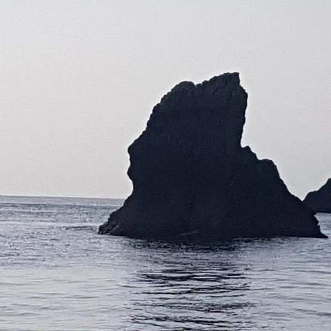 Tauche an der Küste von Taormina mit Ausrüstung und Begleitung