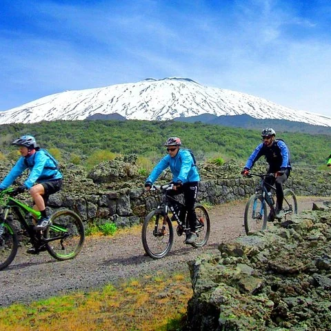 Pedalea entre bosques y antiguas coladas de lava del Etna