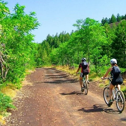 Pedalea entre bosques y antiguas coladas de lava del Etna