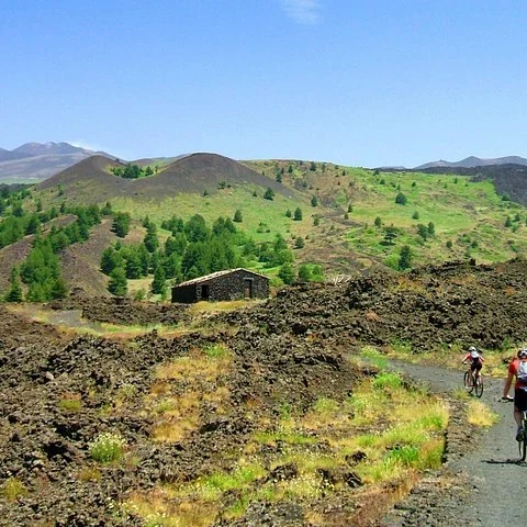 Pedalea entre bosques y antiguas coladas de lava del Etna