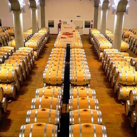 Wein in Marsala, Salinen und Mothia vom Wasser aus