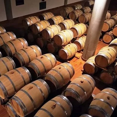 Wein in Marsala, Salinen und Mothia vom Wasser aus