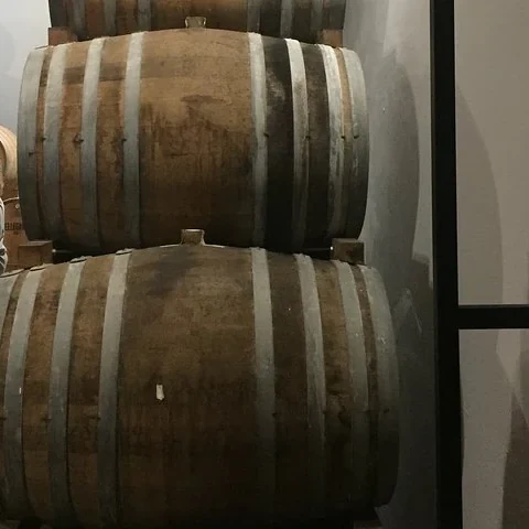 Wein in Marsala, Salinen und Mothia vom Wasser aus