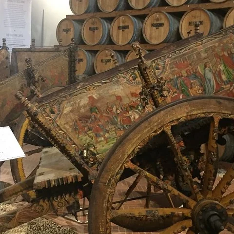 Wein in Marsala, Salinen und Mothia vom Wasser aus