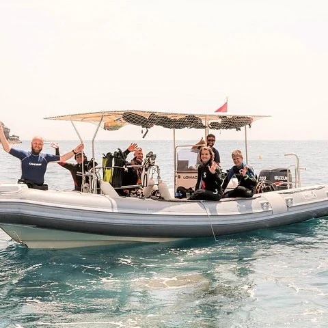 Zwei Tauchgänge bei Isola Bella für zertifizierte Taucher