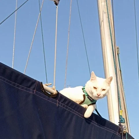 De Ortigia a Plemmirio: navegación, cuevas y snorkel